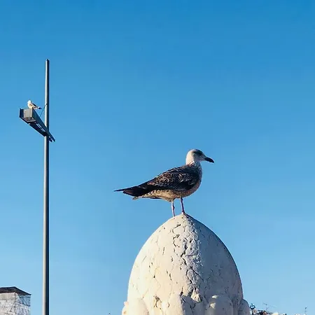 Asian Everest House Lisboa